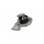 MW-1441 KAVO PARTS Водяний насос охолодження двигуна
