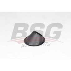 BSG 25-921-002 BSG Рама протитуманна фара
