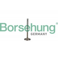 випускний клапан Borsehung B19009