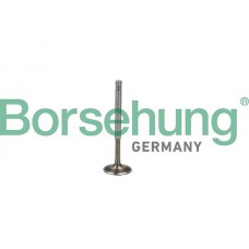 випускний клапан Borsehung B19009