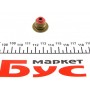 Сальник клапана (впуск/випуск) Fiat Doblo/Ducato 1.6/2.0D Multijet 11- (5x10/23,4x15,5)