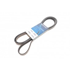 РЕМІНЬ ПОЛІКЛИНОВИЙ DAYCO 6PK2581