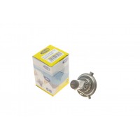 002555100000 MAGNETI MARELLI Лампа розжарювання фара дальнього світла
