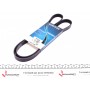 5PK1390 DAYCO Поліклиновий ремінь