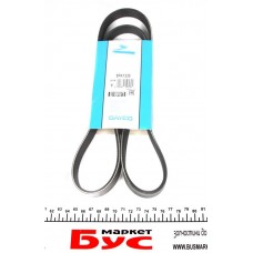 Ремінь приводний поликлиновой DAYCO 5PK1230