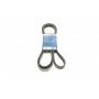 1 987 946 046 BOSCH Поліклиновий ремінь