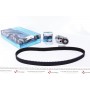 DKT-3004 KAVO PARTS Комплект ременя ГРМ