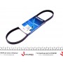4PK850 DAYCO Поліклиновий ремінь