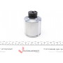 Поршень супорта (заднього) Iveco Daily IV 06-11 (60x65mm) (Brembo) (R) (з механізмом)