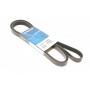 6PK2300 DAYCO Поліклиновий ремінь