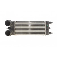 30282 NRF Интеркулер