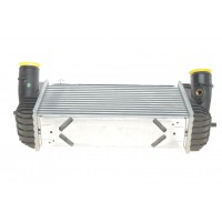 309066 NRF Интеркулер