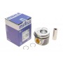030 59 00 MAHLE Поршень