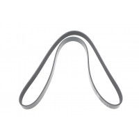 Ручейковий ремінь 6PK Dayco6=1341 PEUGEOT Dayco DAYCO 6PK1341