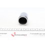 Ремкомплект супорта (заднього) Iveco Daily 99- (d=48mm) (+2 поршня) (Brembo)