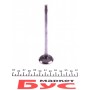 Клапан (випуск) Iveco Daily/Fiat Ducato 2.3JTD 06- (30x6x120.4mm)