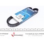 5PK1035 DAYCO Поліклиновий ремінь
