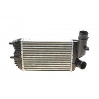 40004183 VAN WEZEL Интеркулер