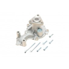 VKPC 84219 SKF Водяний насос охолодження двигуна