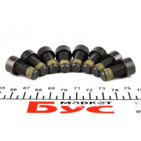 1874 000 006 SACHS Комплект болтів маховик