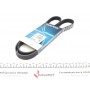 5PK1238 DAYCO Поліклиновий ремінь