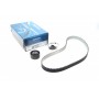 KTB967 DAYCO Комплект ременя ГРМ