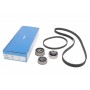 VKMA 95675 SKF Комплект ременя ГРМ