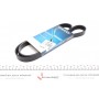 5PK1180 DAYCO Поліклиновий ремінь