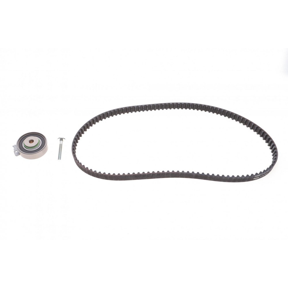 DKT-1004 KAVO PARTS Комплект ременя ГРМ