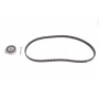 DKT-1004 KAVO PARTS Комплект ременя ГРМ