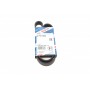 1 987 947 936 BOSCH Поліклиновий ремінь