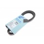 AD05R1546 BLUE PRINT Поліклиновий ремінь