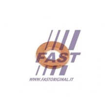 FT49848 FAST Шайба форсунки уплотнительная FAST  CITROEN JUMPER 06-14; FIAT DUCATO 06-14; FORD TRANSIT 06-14