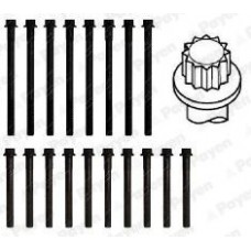 HBS501 PAYEN Комплект болтов головки цилидра