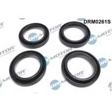 DRM0261S Dr.Motor Automotive Прокладка, корпус форсунки