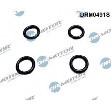 DRM0491S Dr.Motor Automotive Прокладка, корпус форсунки