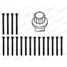 HBS491 PAYEN Комплект болтов головки цилидра