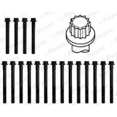 HBS315 PAYEN Комплект болтов головки цилидра