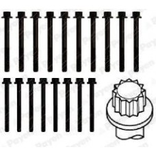 HBS288 PAYEN Комплект болтов головки цилидра