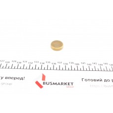 Заглушка блоку циліндрів (d=24,3mm) Латунь/Brass
